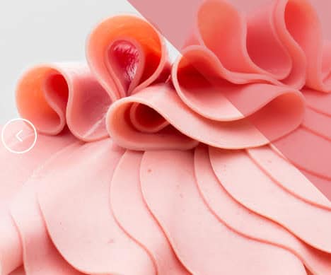Plasma para Proteínas Cárnicas
