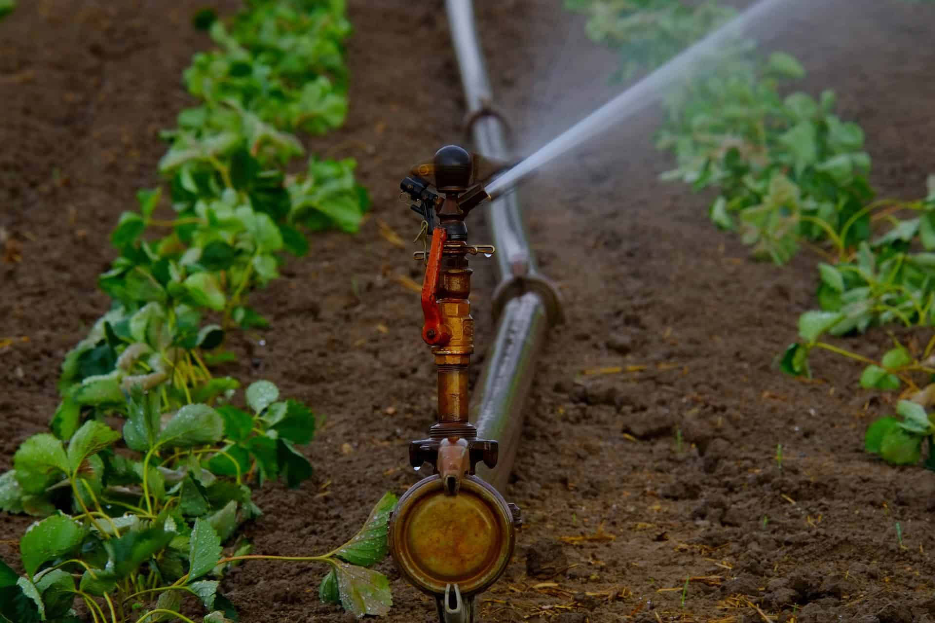 Fisioquímico de agua para riego