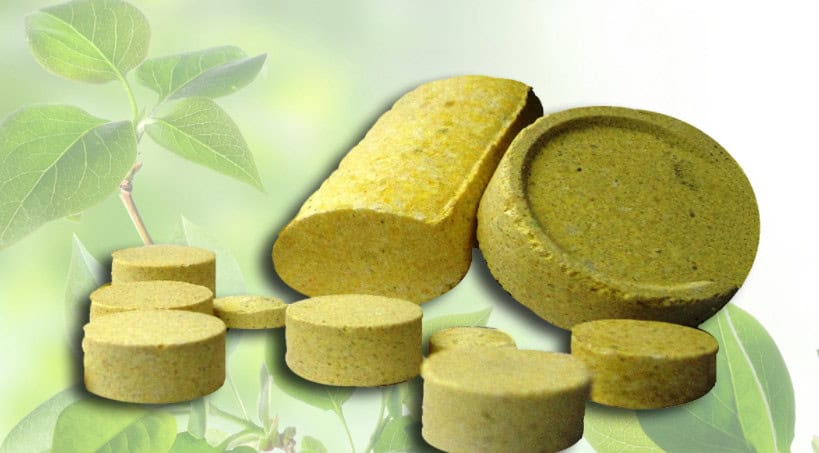 Fertilizantes de Liberación Lenta para Coníferas en Pastilla