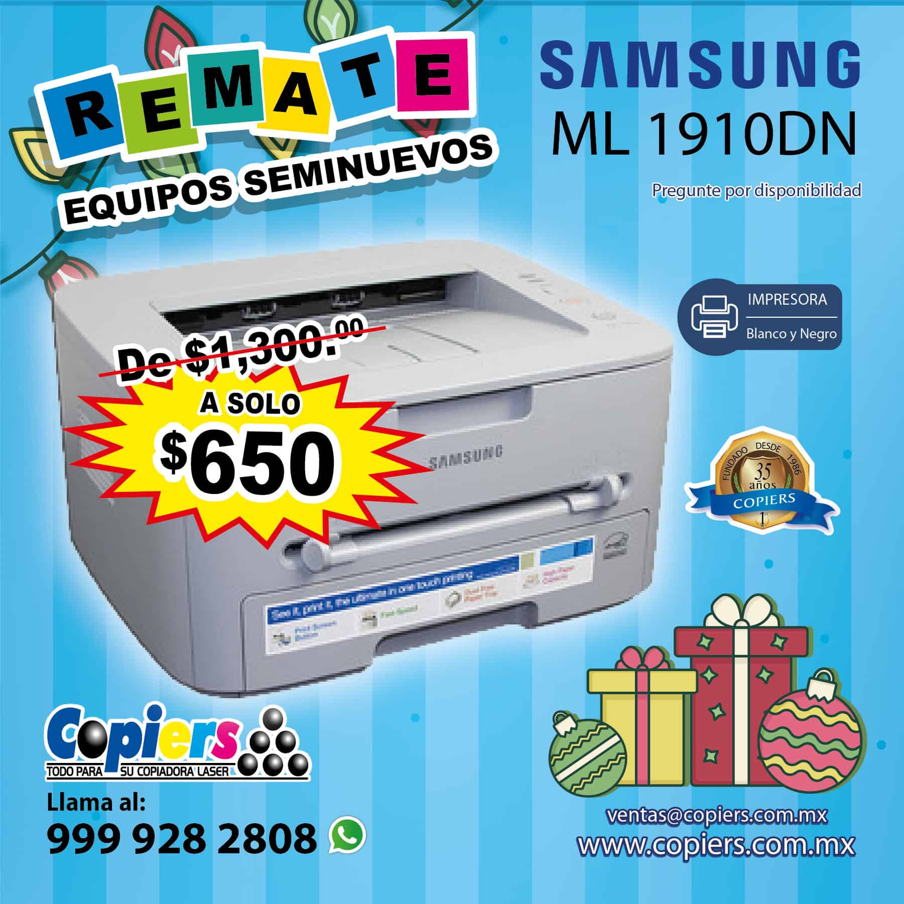 samsung 1910DN