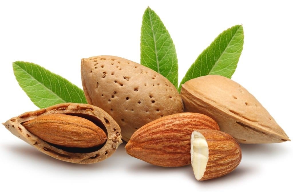 Saborizante Líquido Artificial FDA Almendra Grado