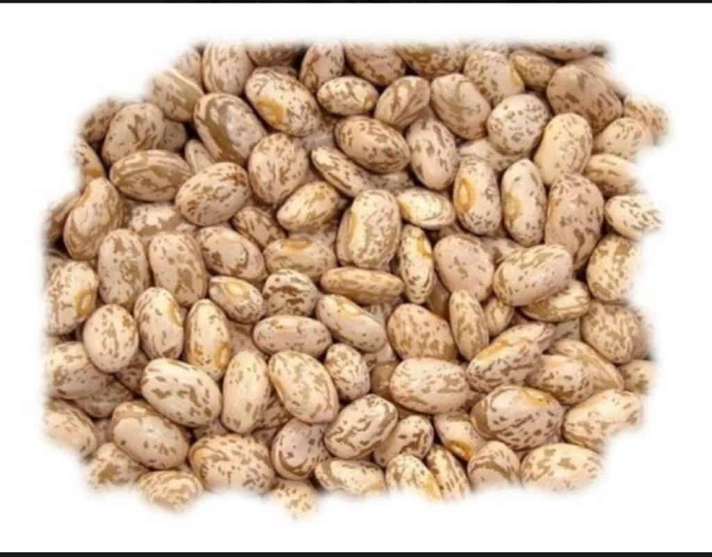 Frijol pinto por tonelada AGA