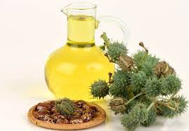 Aceite de Castor para la industria química