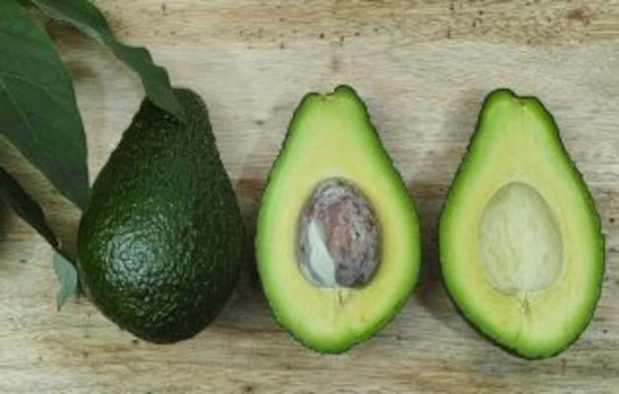 Aguacate (Fruto Completo) 3