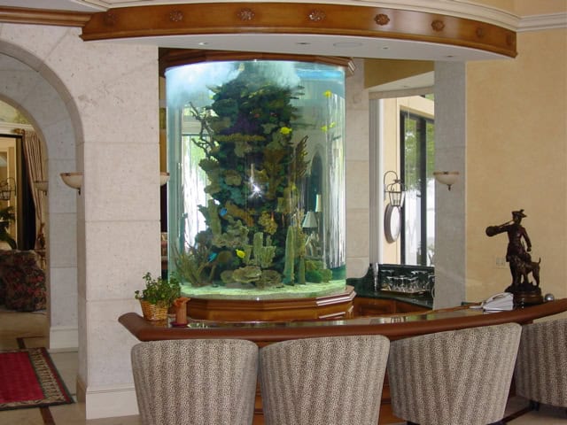 Acuarios de acrílico