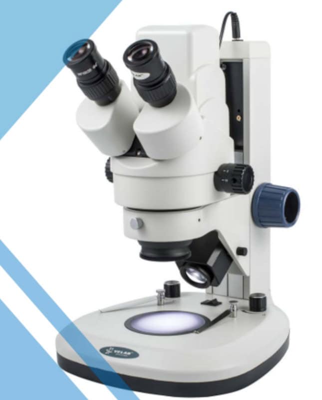 Microscopios de Disección para Laboratorios de Biología 
