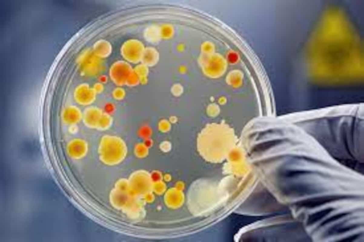 Pruebas Rápidas para Patógenos 3