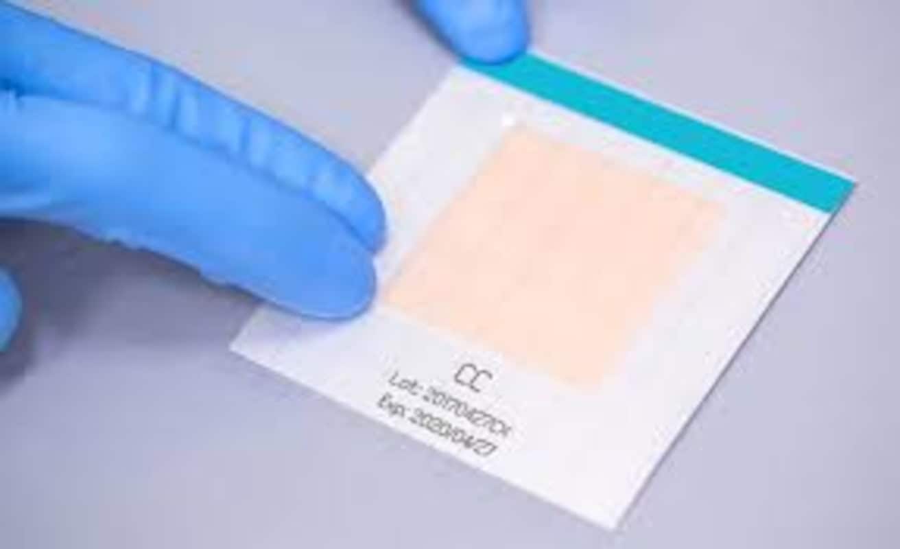 Pruebas Rápidas Microbiología  3
