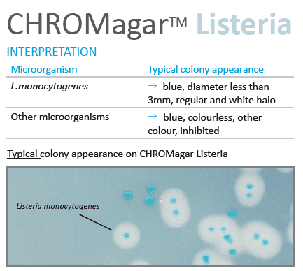 Interpretación de Chromagar Listeria