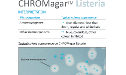 Interpretación de Chromagar Listeria 