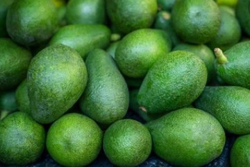 Aguacate (fruto completo) para exportación 3