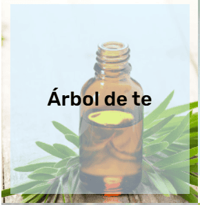 Aceite Esencial de Árbol de Té