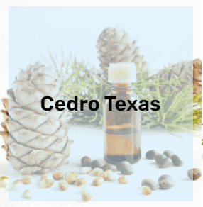 Aceite Esencial de Cedro Texas