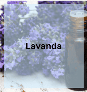 Aceite Esencial de Lavanda