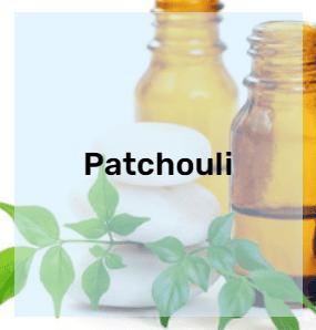 Aceite Esencial de Patchouli