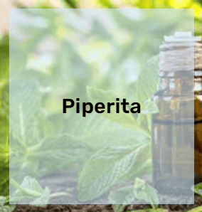 Aceite Esencial de Menta Piperita