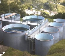 Sulfato de cobre pentahidratado para tratamiento de agua