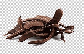 SEMILLA DE ALGARROBA