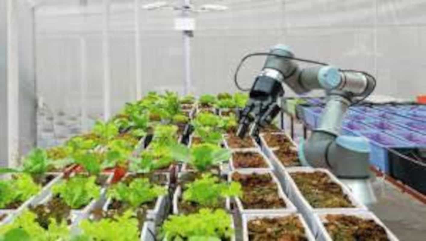 Benzoato de  Butilo para la Agroindustria 