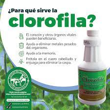 Clorofila liquida - Coyoacán Química