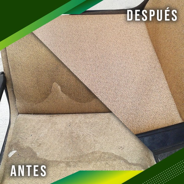 ALFOSHAM - Shampoo espumoso para alfombras