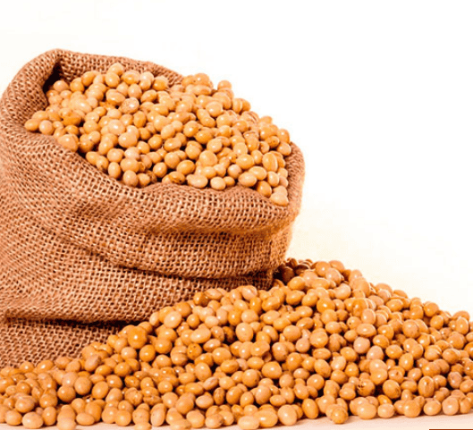 Frijol de soya orgánico