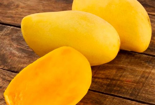 Concentrado de mango 100% libre de conservadores 