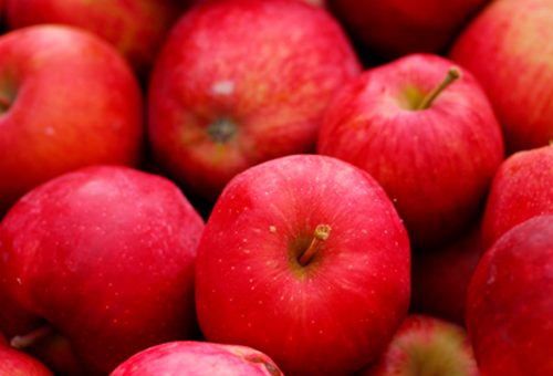 Concentrado de manzana 100% libre de endulzantes