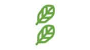 Edulcorantes a base de Stevia Steviose 100