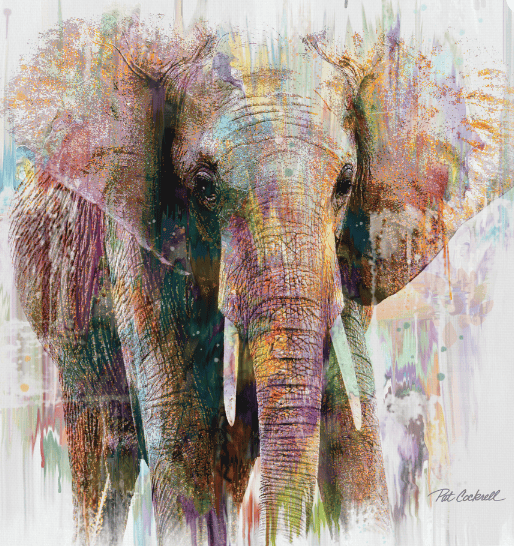 Cuadros decorativos retrato de Elefante