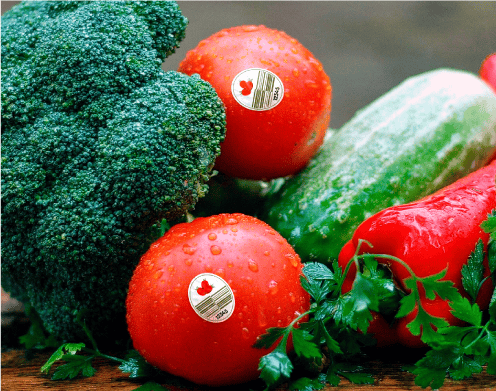 Etiquetas autoadhesivas para alimentos
