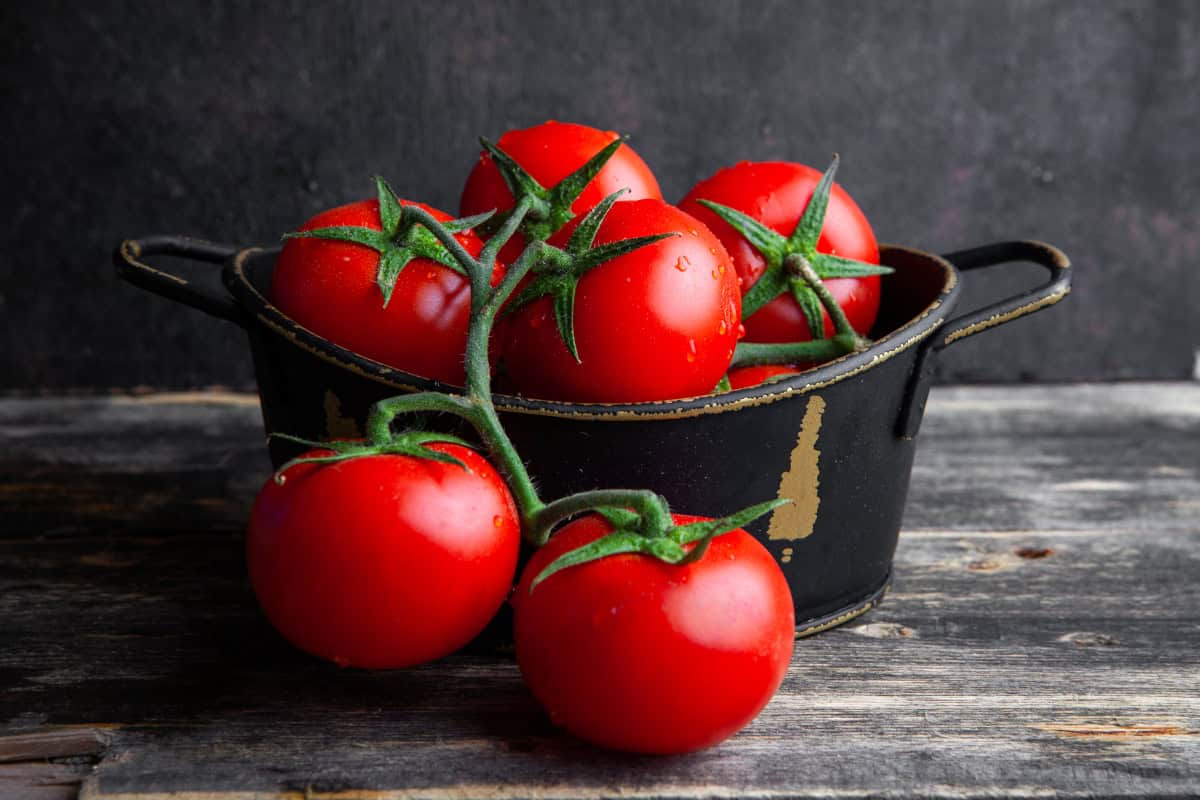 Tomate cold break en polvo