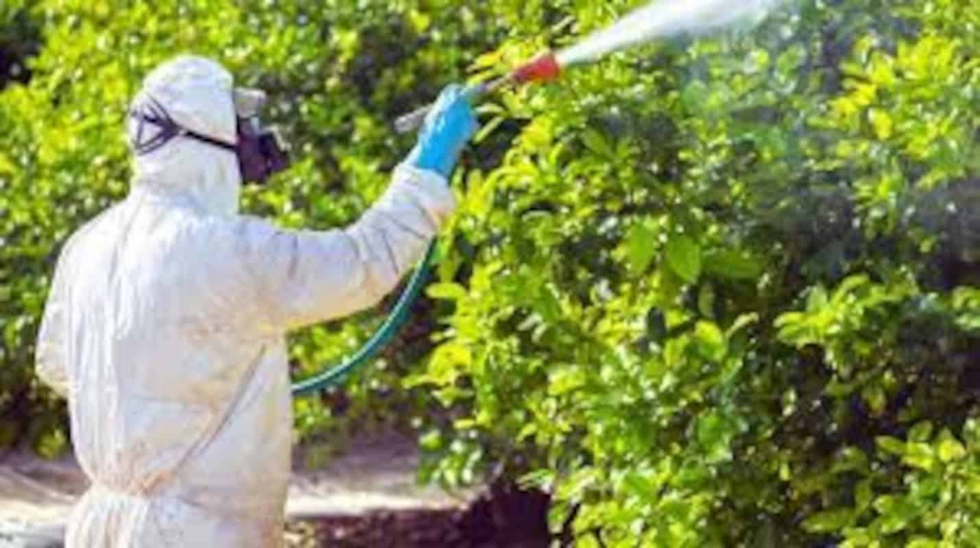 Nonil fenol etoxilado para plaguicidas TENSAPOL NF-10 2