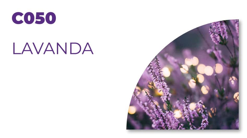 Características de fragancias para desengrasantes