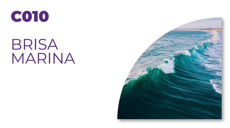 Fragancias para desengrasantes