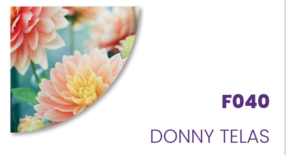 Beneficios de fragancias para suavizantes de tela