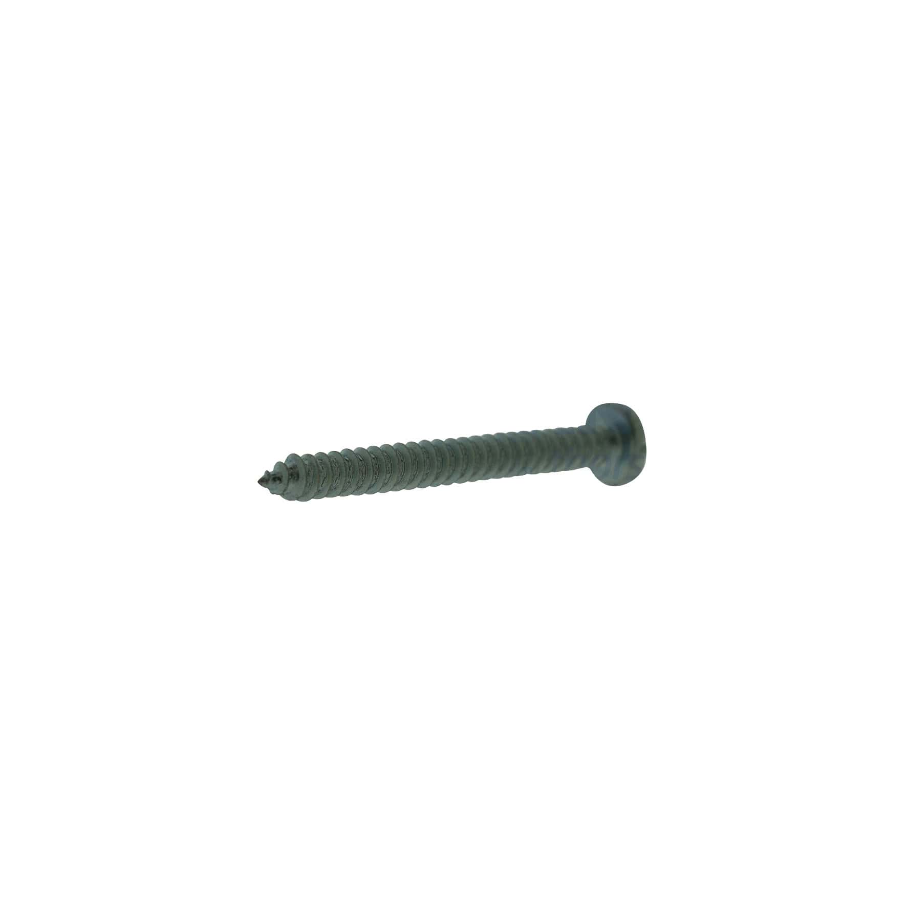 Tornillo Galvanizado 10 X 13/4