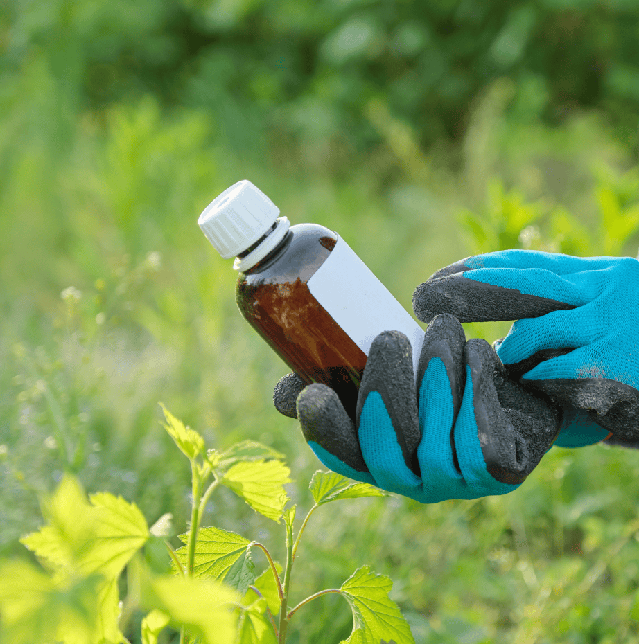 Extractos de gobernadora CITRO-GOB - 1