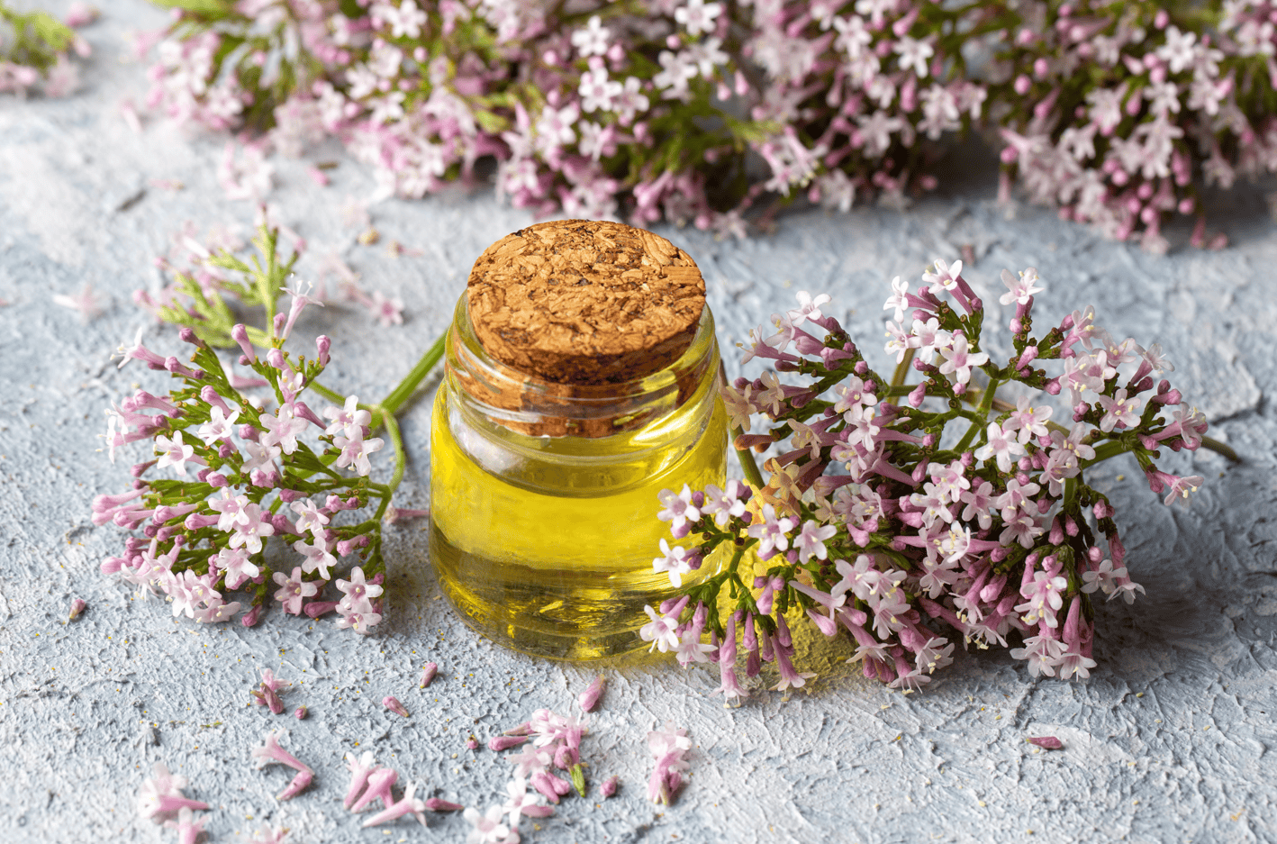 Extractos de valeriana - 1