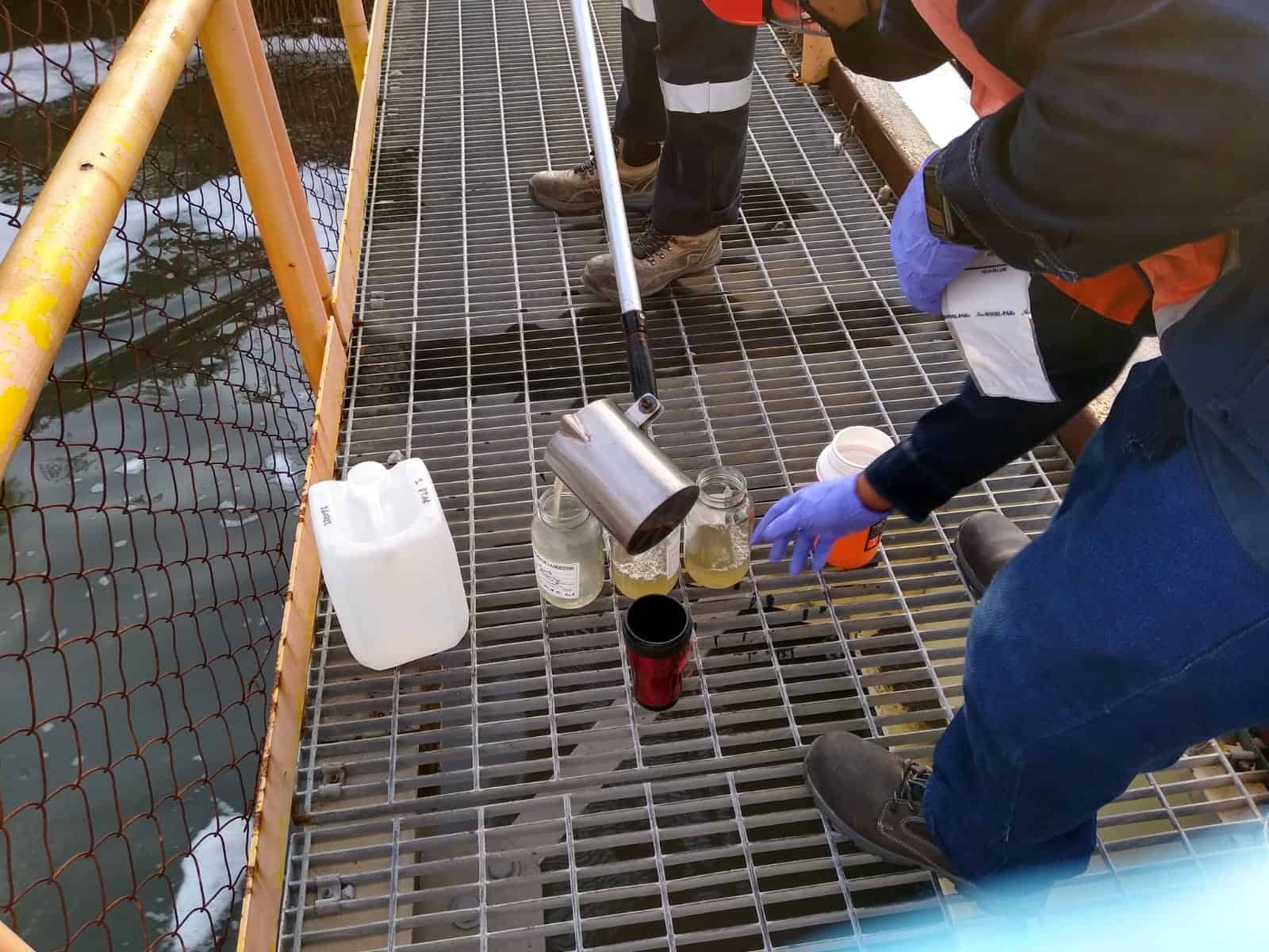 Toma de Muestras