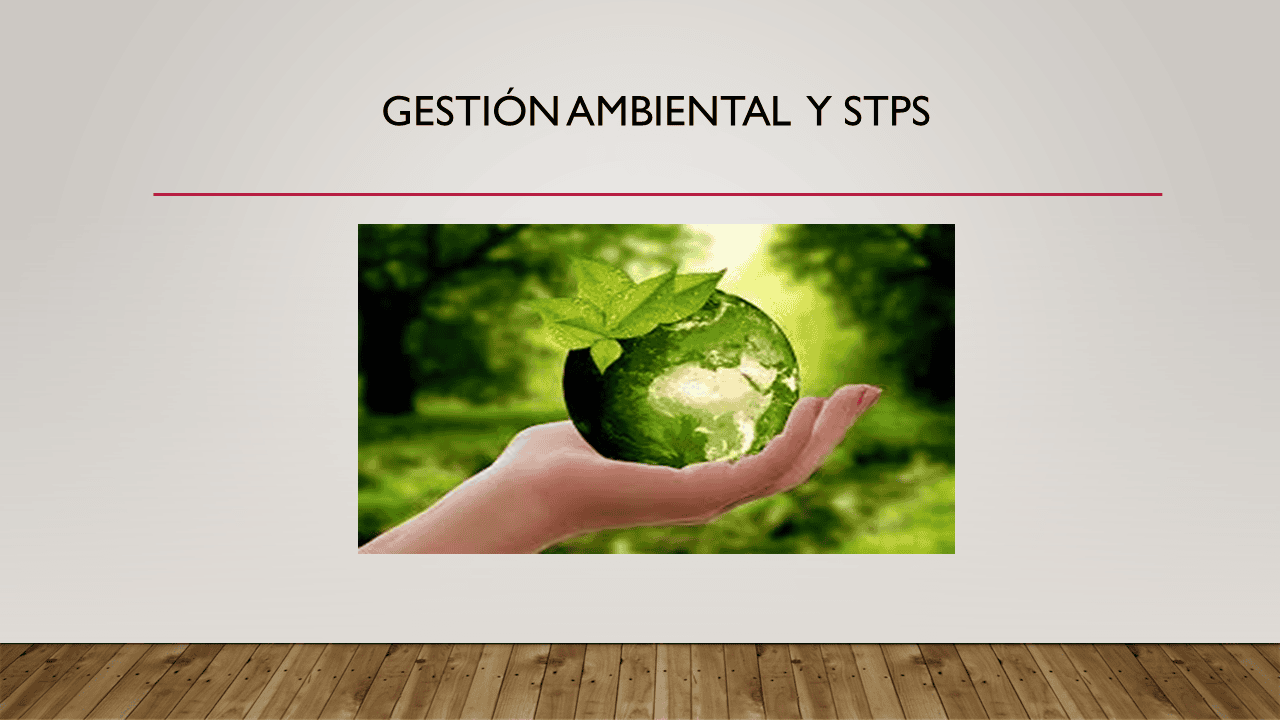 Gestion ambiental y STPS