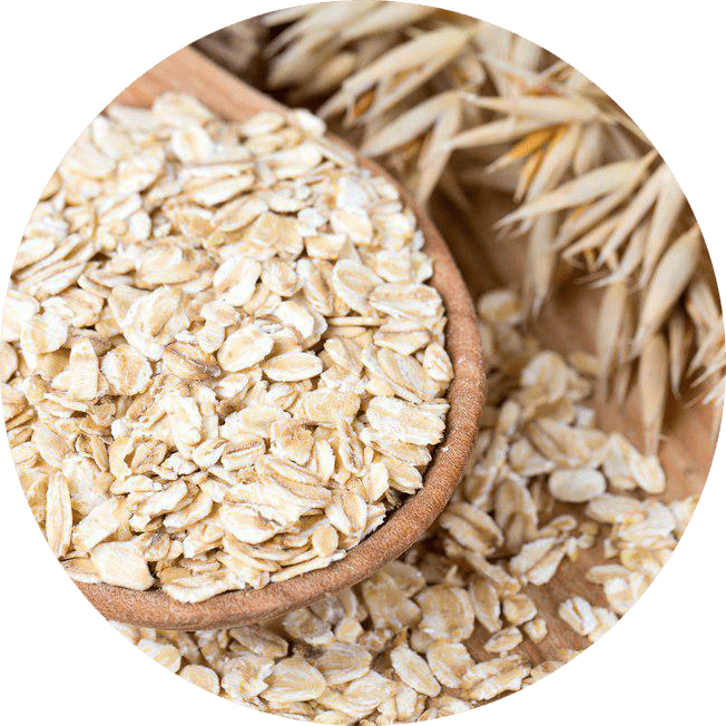 Avena hojuelas mayoreo