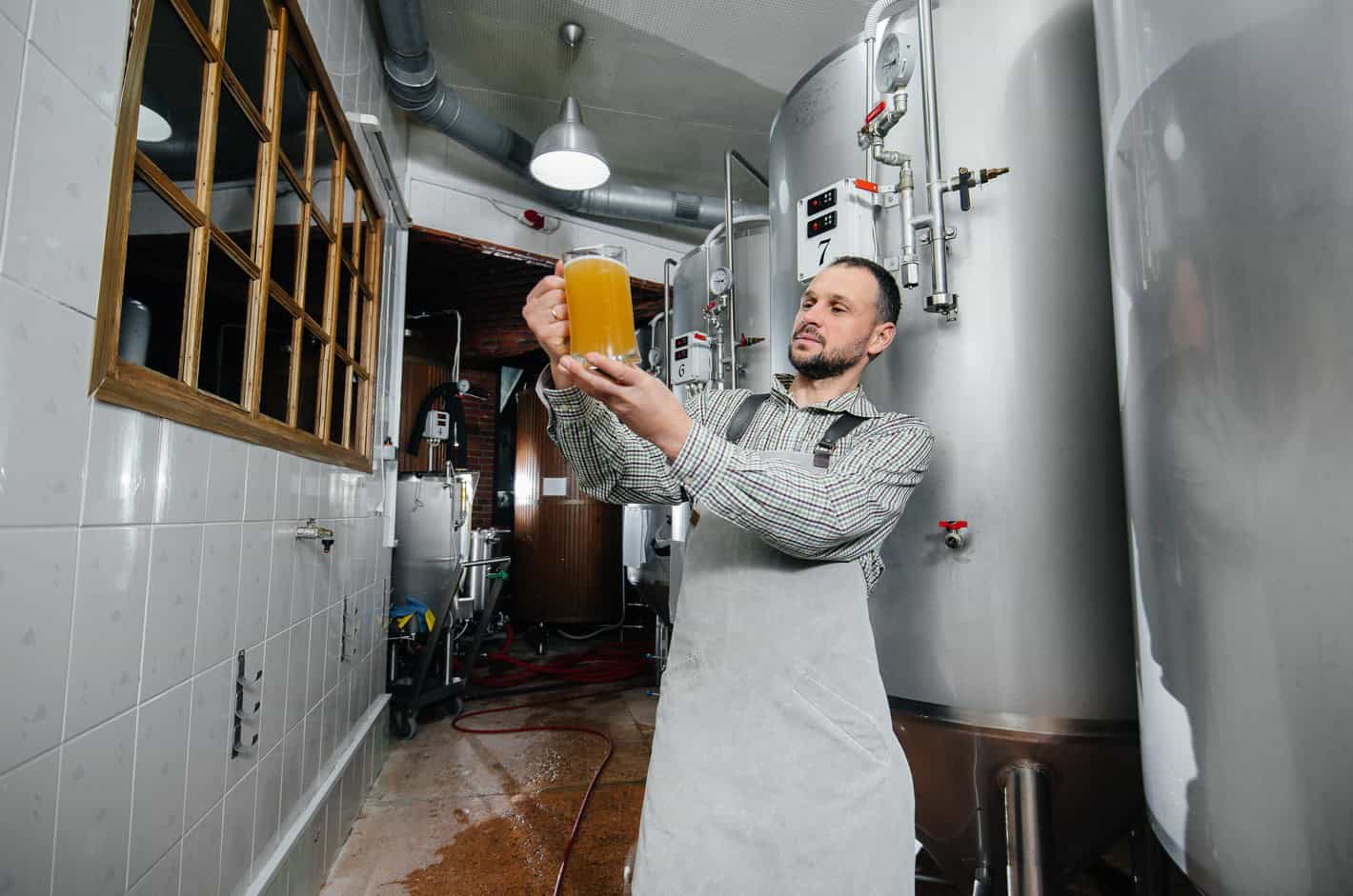 Antiespumante a base de silicón para fabricaciones industriales de bebidas - 1