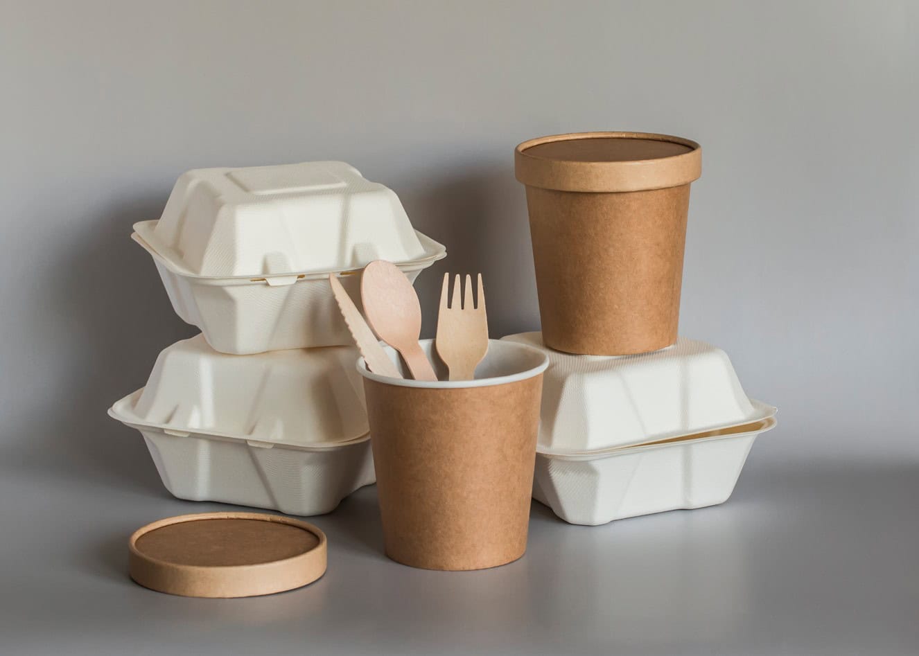Bioplásticos para la fabricación de empaques y utensilios biodegradables - 1