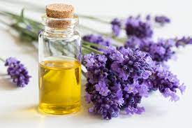 Esencia de lavanda tradicional