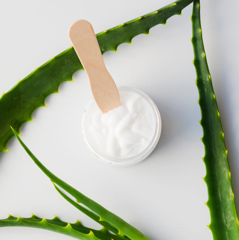 Aloe Vera, Aloe Barbadensis Miller para Formulaciones Cosméticas - 1