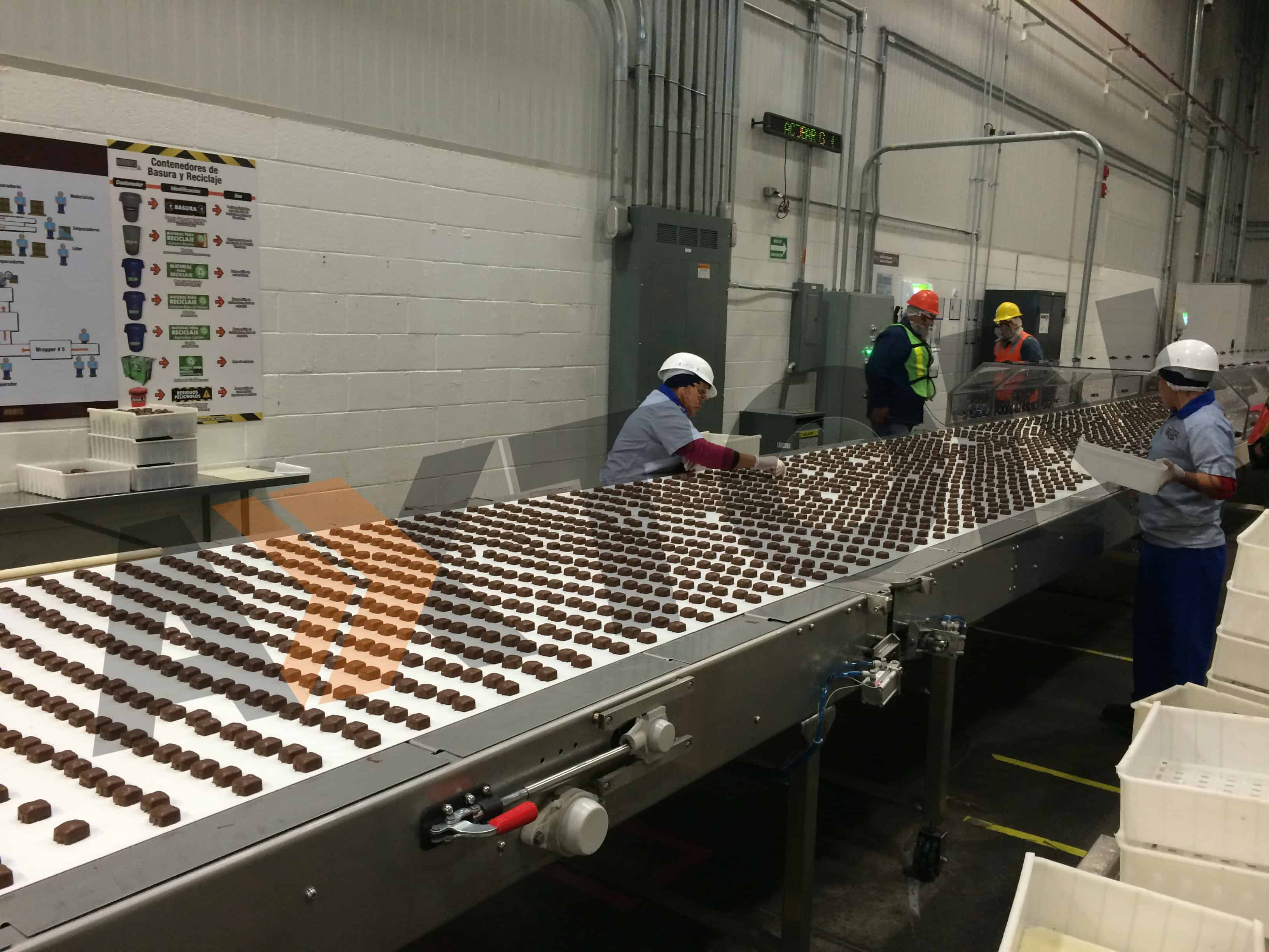 Bandas transportadoras alimenticias acumuladoras
