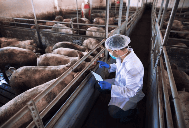 Oxido de zinc uso agrícola sacos 25 kilos