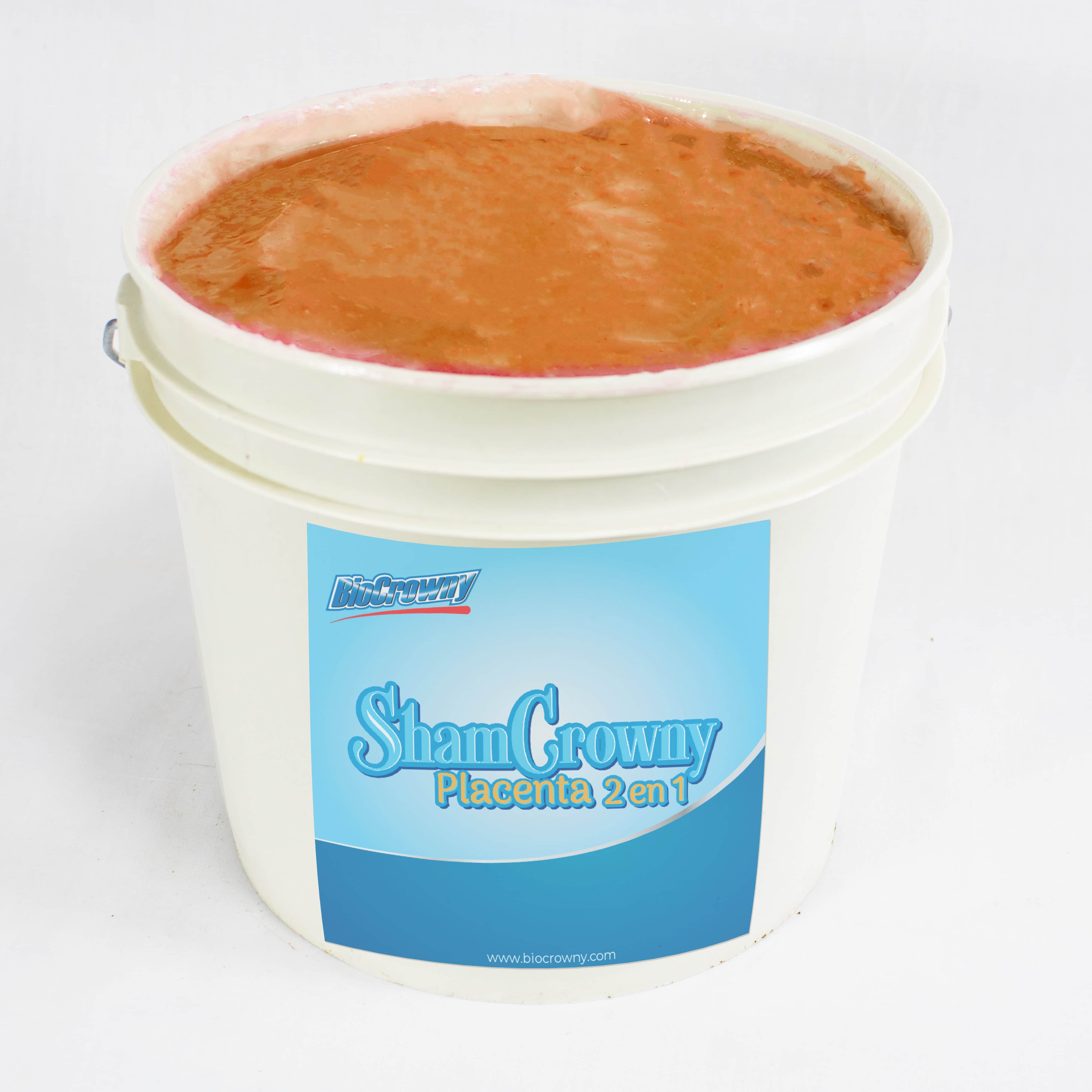 Shampoo 2 en 1 Placenta