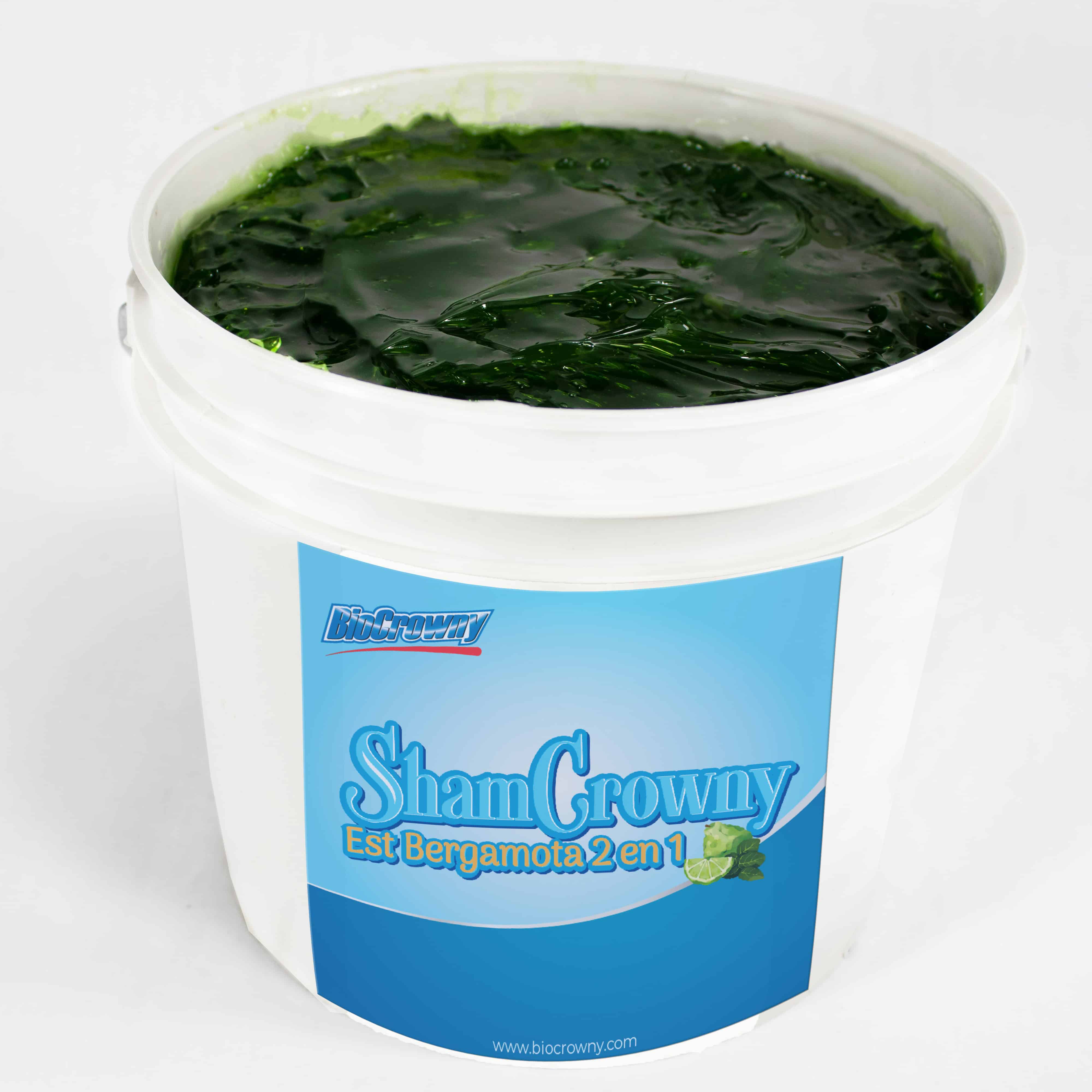 Shampoo 2 en 1 Extracto de Bergamota 